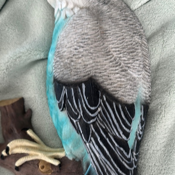 Elegant Parrot Wall Decor - Gray and Blue - Picture 4 of 7